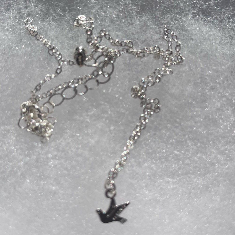 Cute little necklace✨
